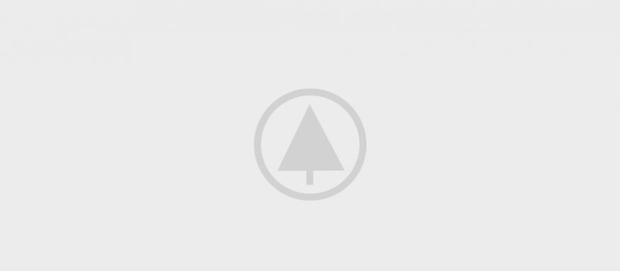 wood-gallery-placeholder-5 wood-gallery-placeholder-5