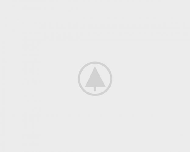 wood-gallery-placeholder wood-gallery-placeholder