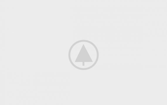 wood-portfolio-placeholder