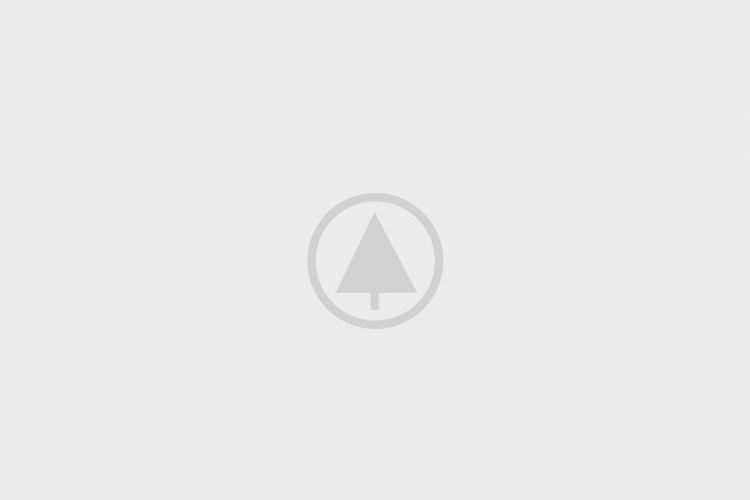 wood-portfolio-placeholder wood-portfolio-placeholder