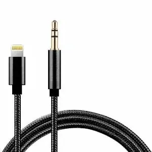 Lightning to AUX Cable