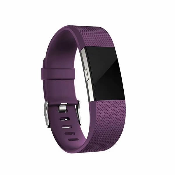 Purple Large Fitbit Charge 2 Band Replacement Wrist Strap Silicone Smart Watch Band, Tempered Glass, Data Cable & Charging Adapter, Car Mount Holder. For Fitbit Charge 2 Band Replacement Wrist Strap Silicone Smart Watch Band (Large , Purple)