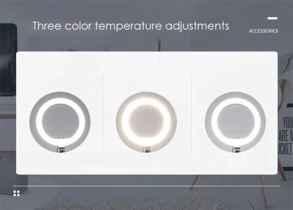 10 Inch Desktop Tripod Fill Light Kit Makeup Live Selfie Ring Light Photo Recording Playing Light with Phone Clip Photography